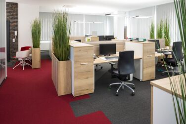 Steuerberater moderne Büroeinrichtung