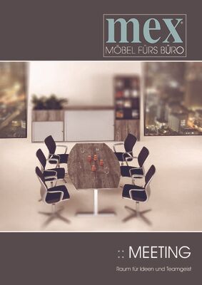 Meeting