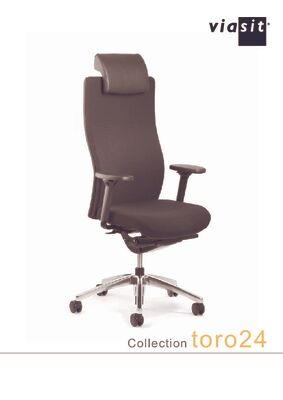 Toro24