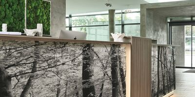 Empfangstheke mit Beleuchtung und Motivdruck