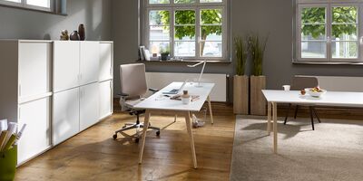 Febrü Büroeinrichtung Schreibtisch Büroschrank Drehstuhl Büropflanzen