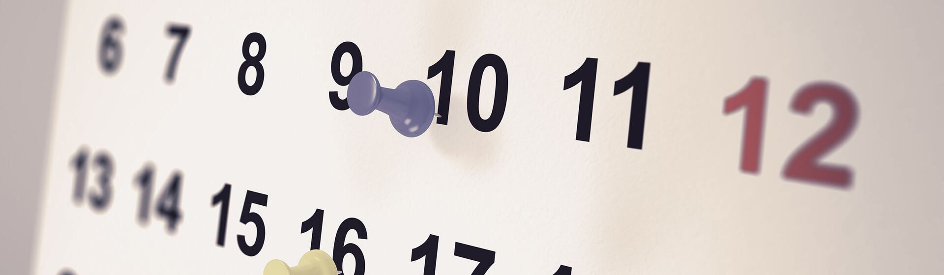 Angebote und Aktuelles