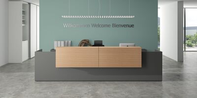 Graue Empfangstheke mit Holz